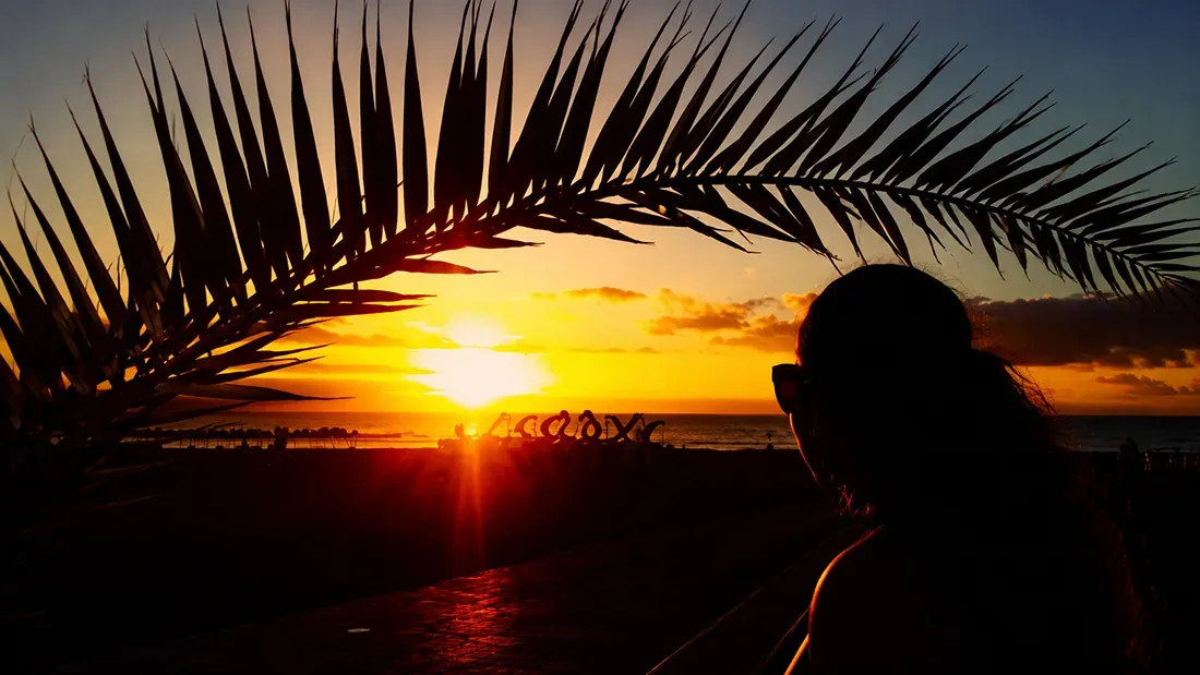 Person silhouetted against sunset with palm fronds, ocean backdrop