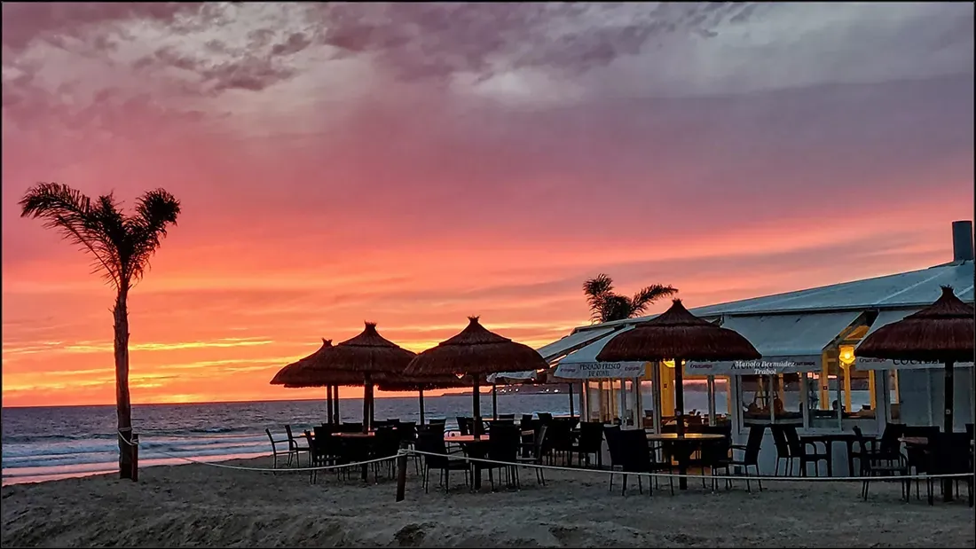 Beach bar at sunset with thatched umbrellas and palm tree