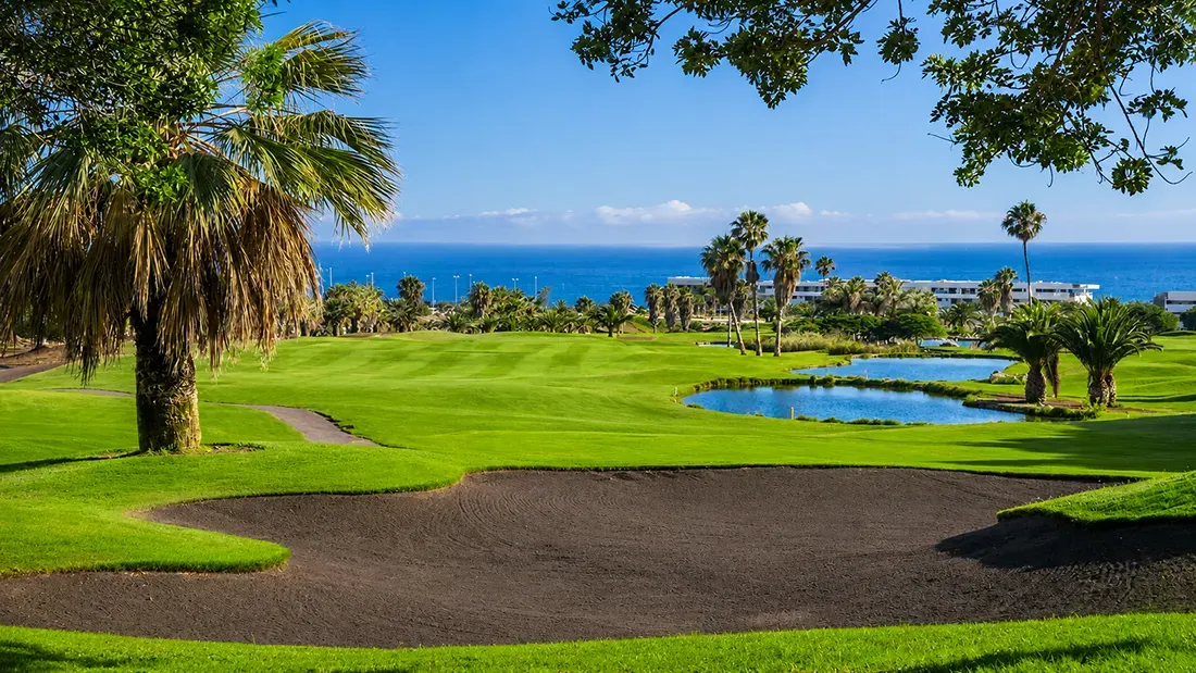 Coastal golf course with ocean view and palm trees, Tenerife