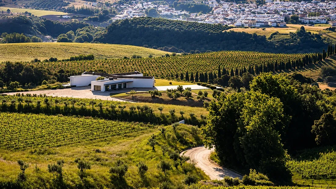 Modern winery building surrounded by vineyard rows in rolling countryside landscape