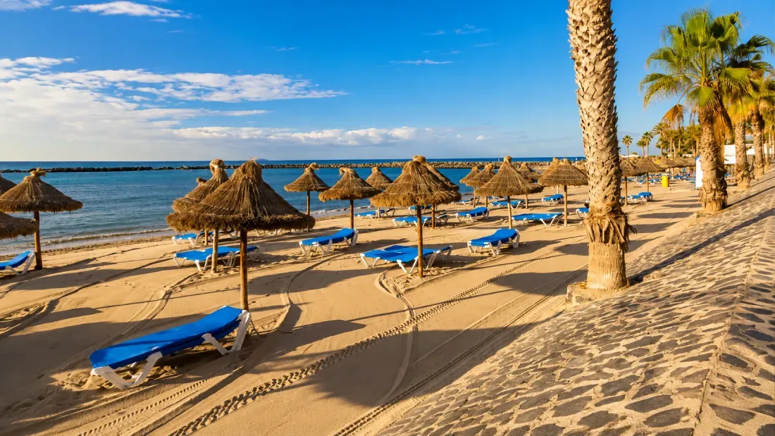 Beach with blue loungers, thatched umbrellas, and palm trees