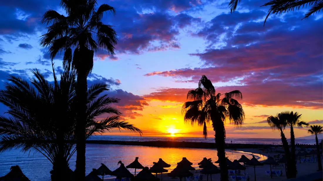 Sunset over tropical beach with palm trees and beach umbrellas silhouetted