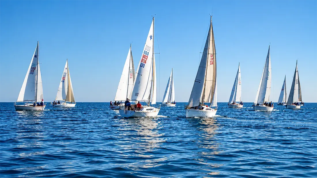 Fleet of sailboats racing across blue ocean under clear sky